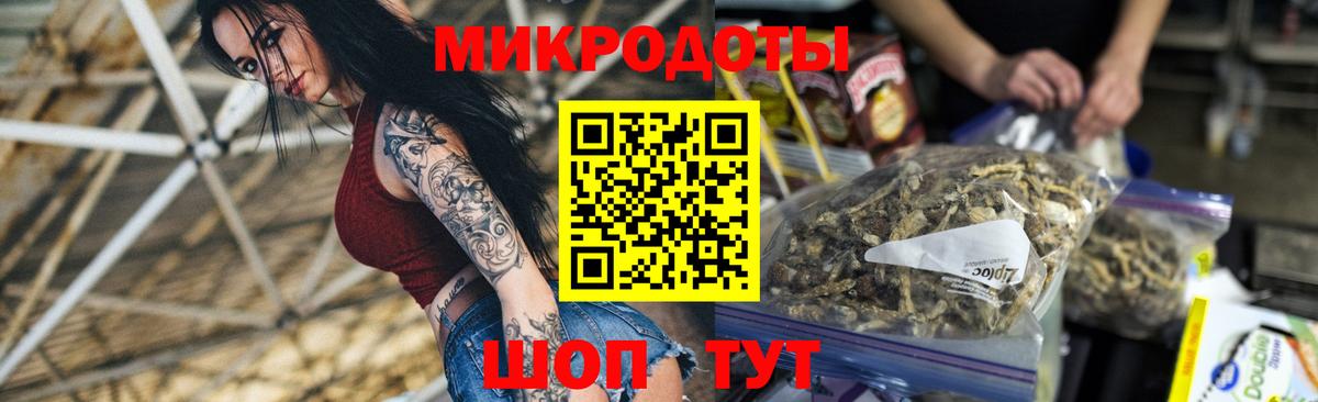 Галлюциногенные грибы Psilocybe  Вход с VPN  Долгопрудный  Галлюциногенные грибы Psilocybe 